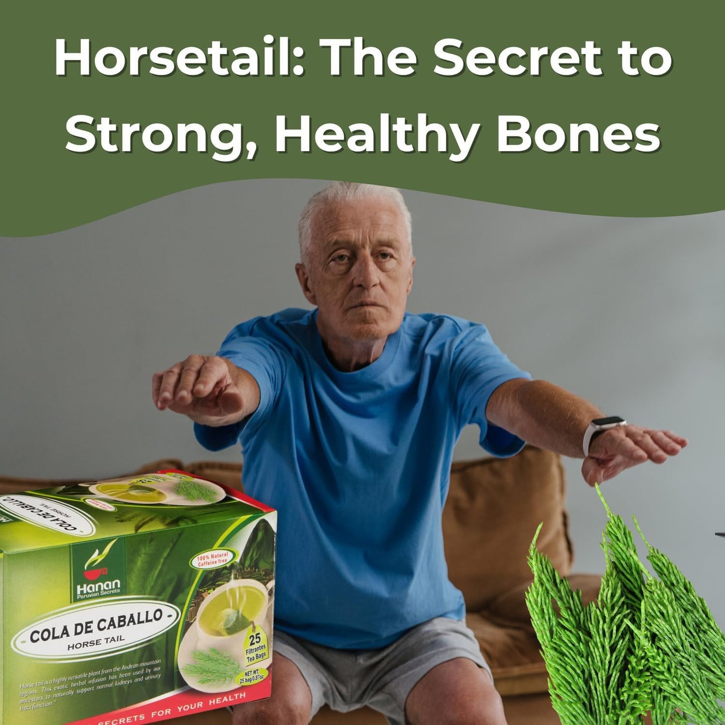 Hanan Horsetail Tea - All-Natural Horse Tail, 25 Teabags, Pack of 1