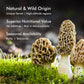 VIGOROUS MOUNTAINS enhanced Dried Wild Morel Mushrooms  Wild Harvested  2oz Earthy Flavor & Rich Umami-Perfect for Gourmet Cooking  Soups  Pasta & Risotto (56.7g)