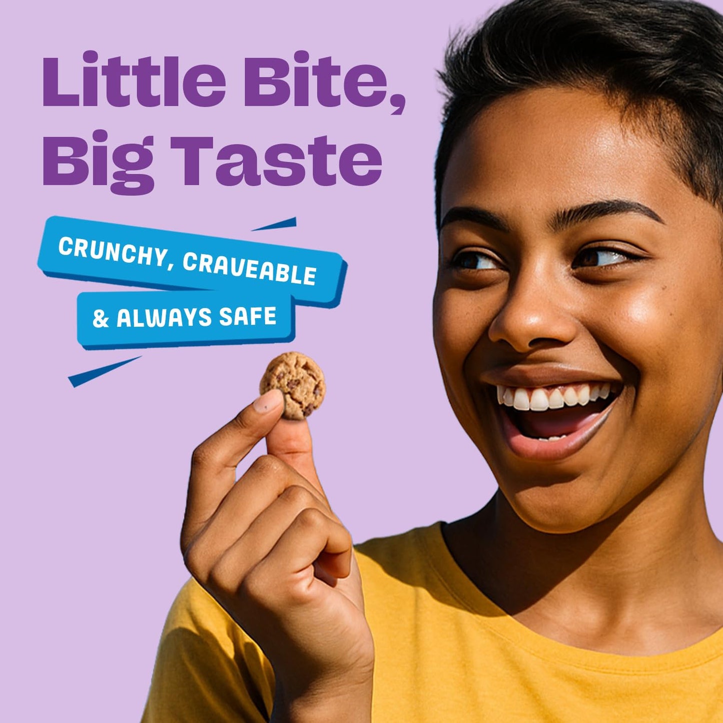 Gluten Free Partake Mini Crunchy Chocolate Chip Cookies + Bonus Bag of Classic Grahams - Vegan - Free From the Top 9 Allergens I