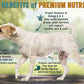 Chicken Soup For The Soul All Natural Enhanced Small Bites Senior/Mature Dry Dog Food, Real Meat First Ingredient, No By-Products, Supports Joint Health & Mobility, Chicken, Turkey & Brown Rice, 4.5Lb