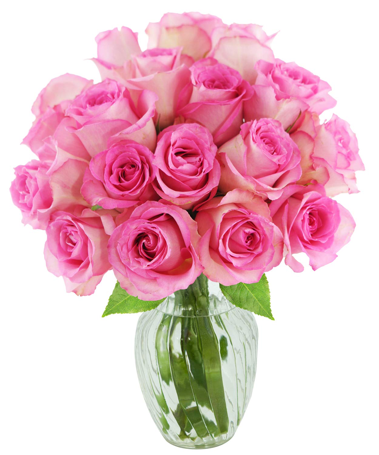 KaBloom Fresh Pink Roses Bouquet - 18 Stems with Vase, Fall Collection, Model KADF3785-V118-A999-1