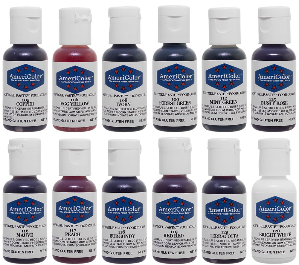 Food Coloring AmeriColor Student - Kit 2 12 .75 Ounce Bottles Soft Gel Paste Colors