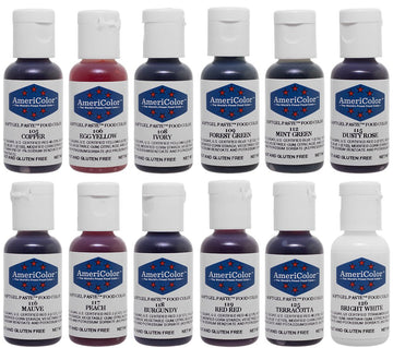 Food Coloring AmeriColor Student - Kit 2 12 .75 Ounce Bottles Soft Gel Paste Colors