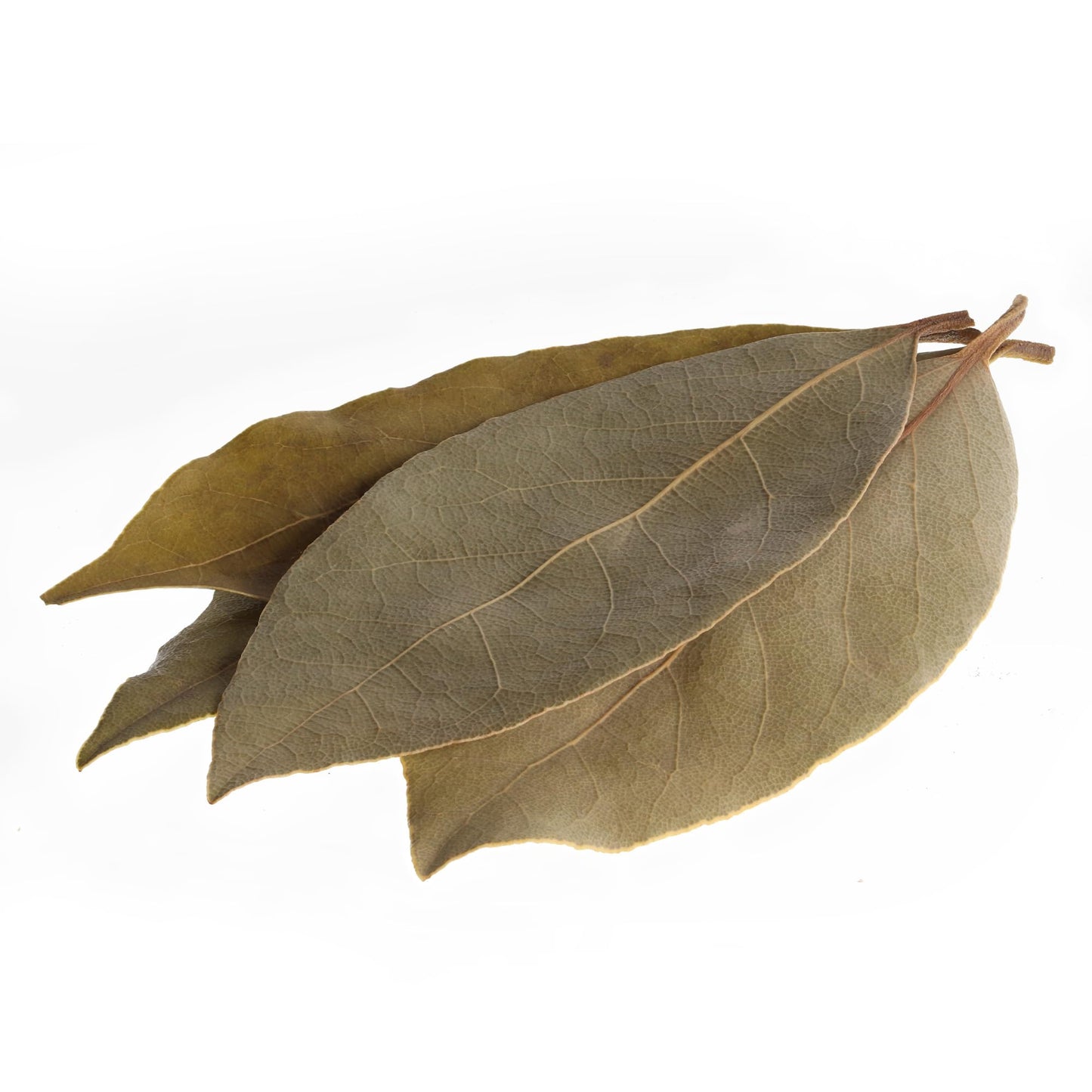 Newmans Own Dried Bay Leaves, Non-GMO, Kosher, 0.18 Oz Bottle, Model S-PL-11928