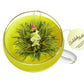 Creano Bloomning Tea Gift Set, 7oz Tea-Glass, 8 Tea-Flowers, Green Tea, Perfect Gift for Women and Tea Lovers