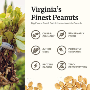 Belmont Peanuts Gourmet Sea-Salted Virginia Peanuts, 20 oz (2 Pack) - Only 3 Simple Ingredients, No Preservatives, 7g Protein -