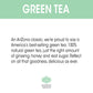 AriZona Green Tea with Ginseng and Honey, 20 Fl Oz (Pack of 24)