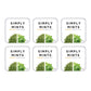 Simply Gum Breath Mints | Awaken Flavor with Caffeine & Matcha | Pack of 6 | 180 Total Pieces | Aspartame-Free | Green