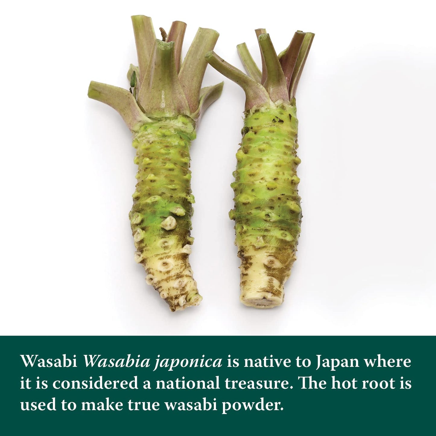 Eden Wasabi Powder, W/Real Japanese Horseradish, Fiery, Traditionally Made In Japan, 0.88 Oz