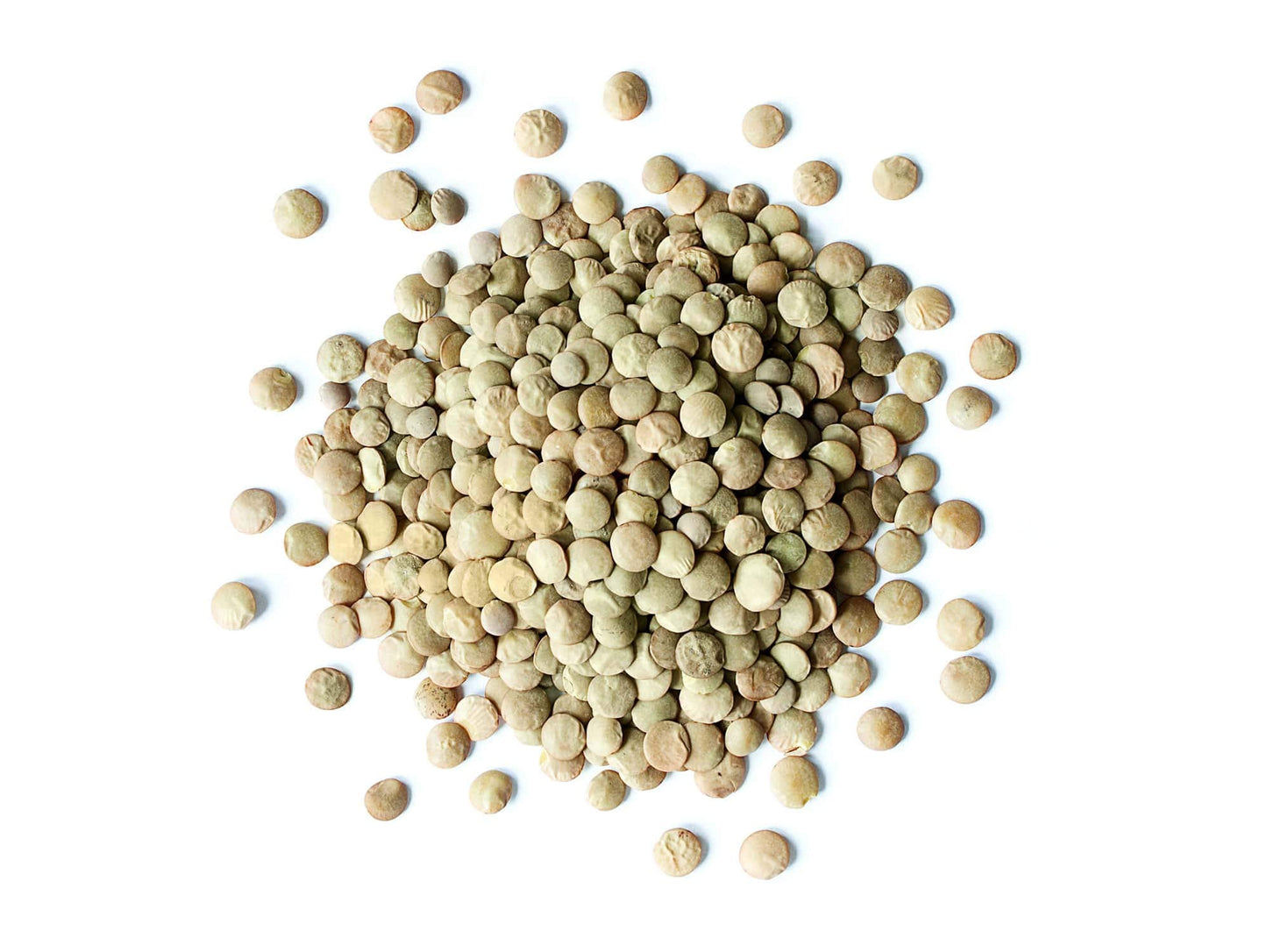 Food To Live Organic Whole Green Lentils, 20 Pounds - Non-Gmo, Dried Raw Beans, Sproutable, Vegan, Kosher, High In Folate, Dieta