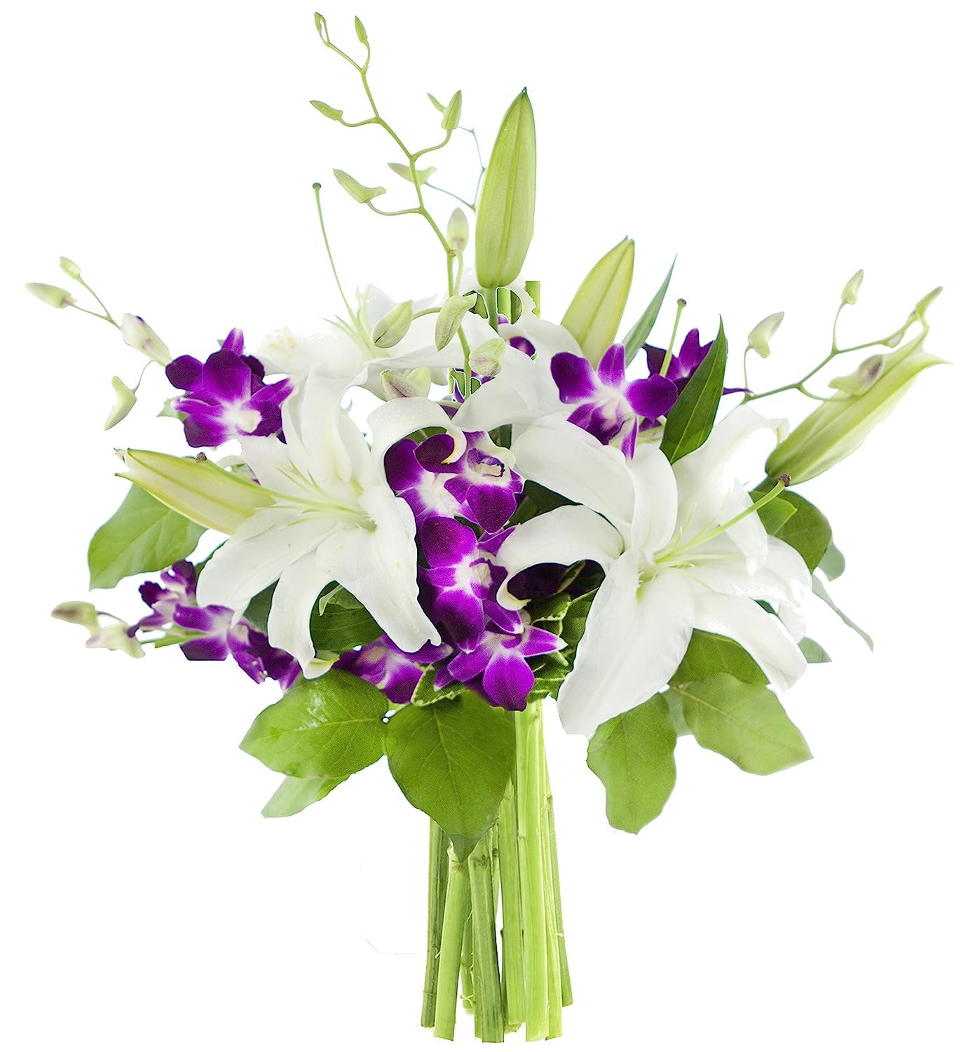 KaBloom PRIME NEXT DAY DELIVERY - Fall Collection - Bouquet of 3 Oriental White Lily 5 Purple Orchid With Lush Greens.Gift for Birthday  Sympathy  Anniversary  Mothers Day Fresh Flowers