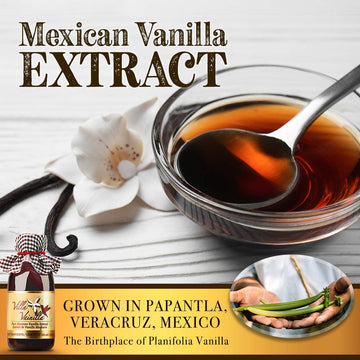 Villa Vainilla Pure Vanilla Extract - Premium Concentrated, Real, Natural, Gourmet Flavor From Mexico (64 Fl Oz/0.5 Gl)