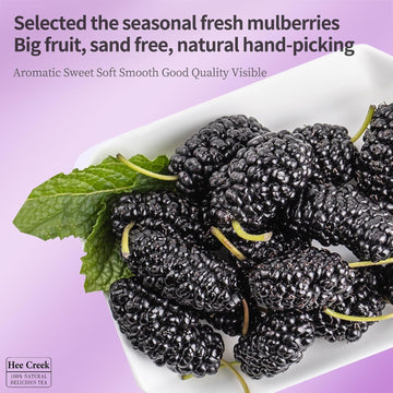 Hee Creek Dried Mulberries Black Mulberries Black Mulberry Tea Wild Black Mulberry Dried Fruit No Sugar Added & No Additives ???