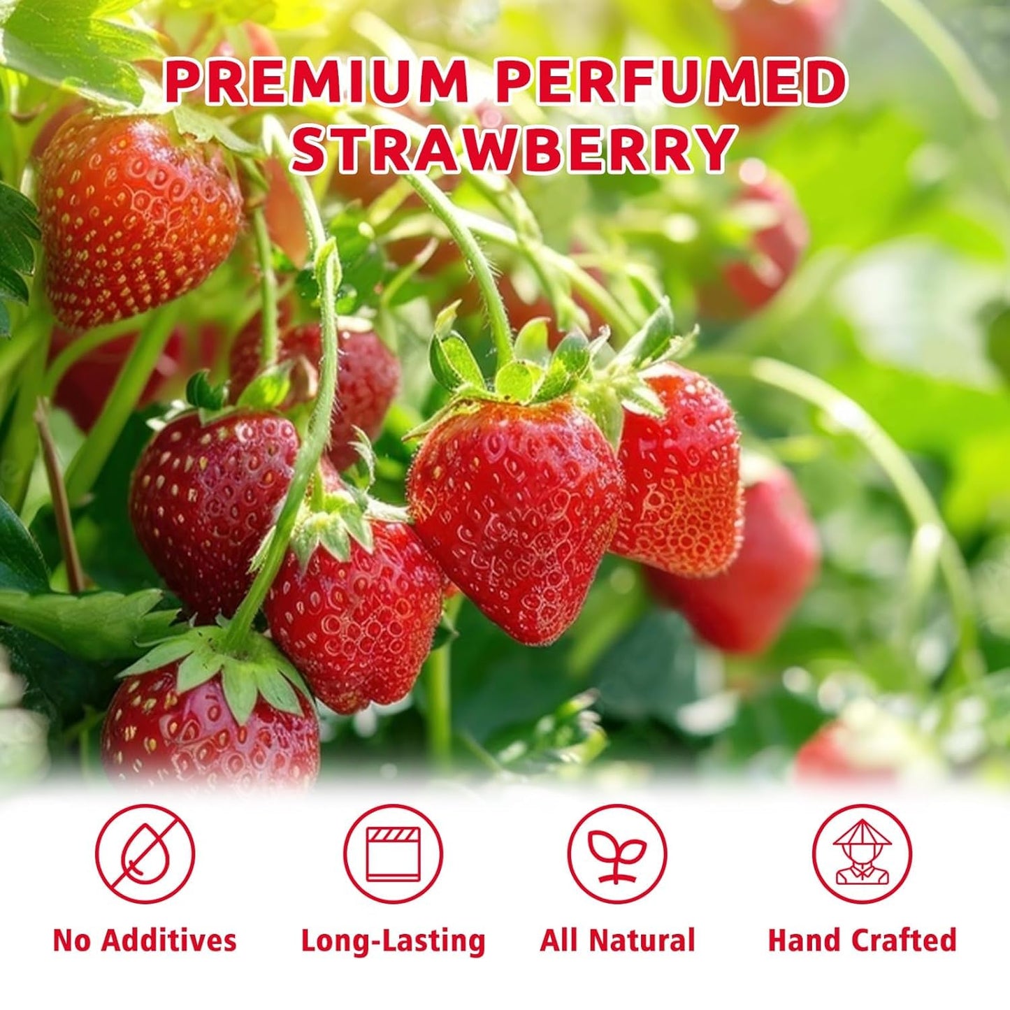 Whole Freeze Dried Strawberries Bulk 32 Oz / 2Lb / 908 G Large Family Size Crunchy Fruit Snack Box No Added Sugar Single-Ingredi