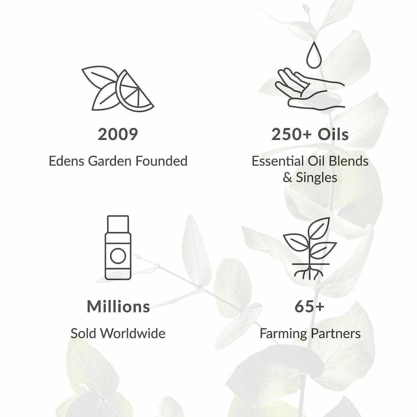 Eucalyptus 100% Pure Therapeutic Grade Essential Oil- 10 Ml
