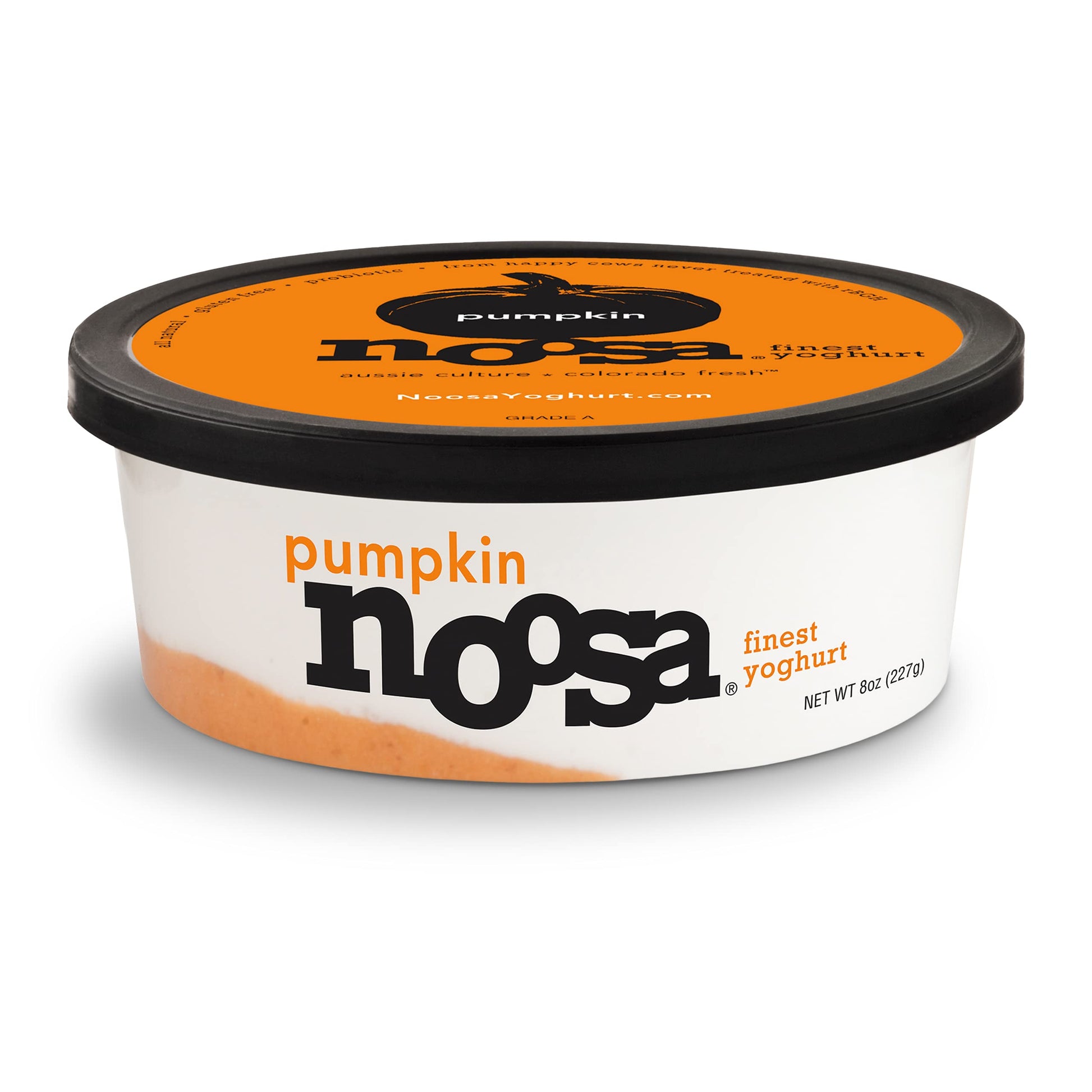 Noosa Yoghurt, Pumpkin, Whole Milk Yogurt, Grade-A Pasteurized, Gluten Free, Probiotic, 8 Ounce