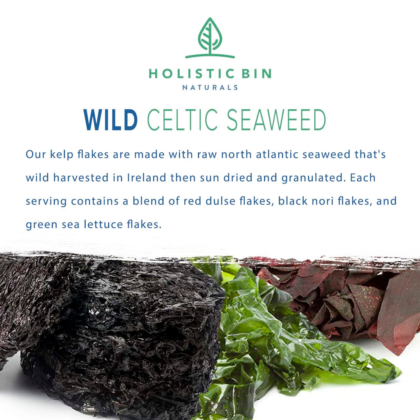 Organic Seaweed Flakes by Holistic Bin | Wild Harvested in Ireland | Red Atlantic Dulse, Black Nori, & Green Sea Lettuce | Dried
