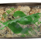 Tosi - Superbites Cashew - Case of 12-2.4 OZ(D0102HX233G.)