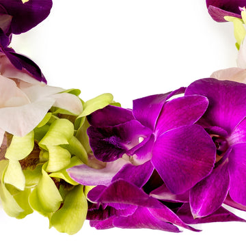 Generic Graduation Leis, Fresh Cut Orchids Flower Leis, Long-Lasting Double Leis Made Of Fresh Cut Purple, Pink And Green Orchid