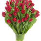 KaBloom Flowers - Mother's Day Collection - PREMIUM 50 Red Tulips - Wholesale Fresh Flowers I Gift for Birthday, Sympathy, Anniv