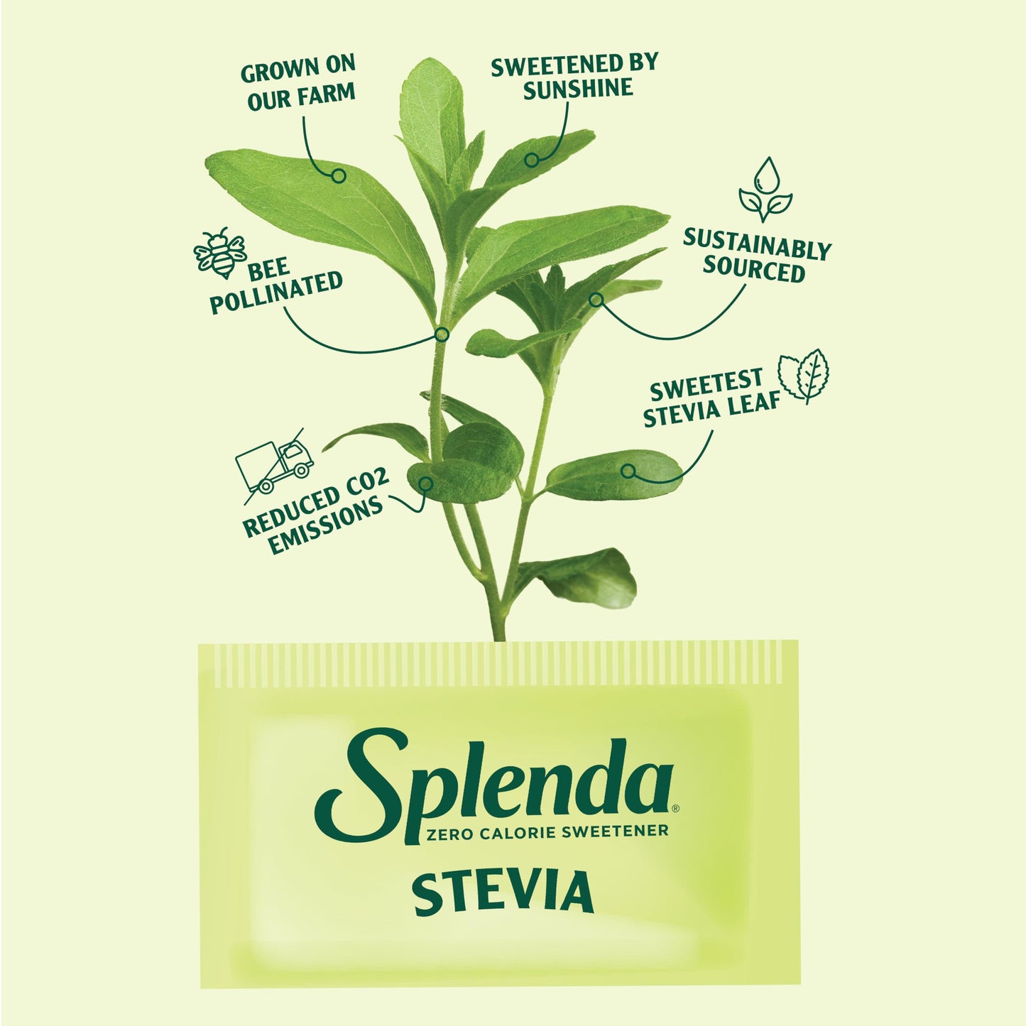 SPLENDA Stevia Zero Calorie Sweetener Granulated Powder, 1000 Count Single Serve Packets