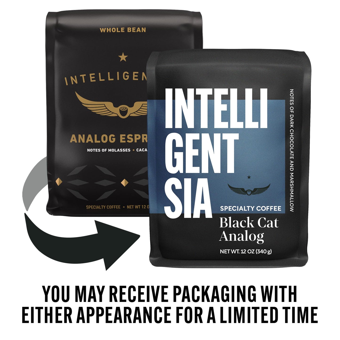 Intelligentsia Coffee, Medium Roast Whole Bean Coffee - Black Cat Analog 12 Ounce Bag
