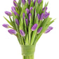 KaBloom Flowers -Valentine's Day Collection - 20 Purple Tulips without vase, Gift for Birthday, Sympathy, Anniversary, Get Well,