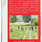 TRADITIONAL MEDICINALS HERB TEA,OG3,GYPSY CLD CR, 16 BAG - Pack of 6