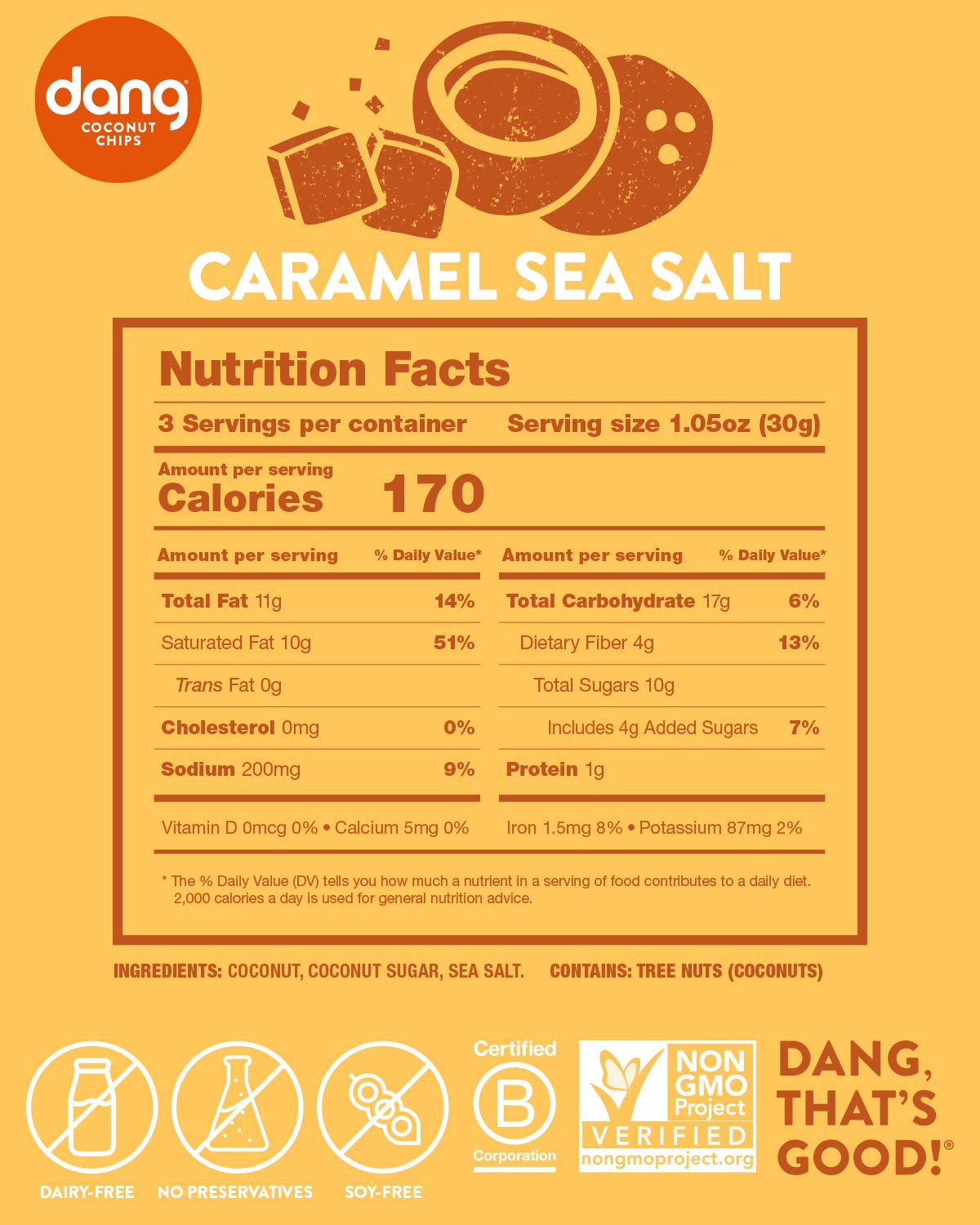 Dang Toasted Coconut Chips | Caramel Sea Salt | 12 Pack | Vegan, Gluten Free, Non Gmo, Healthy Snacks Made With Whole Foods | 3.17 Oz Resealable Bags