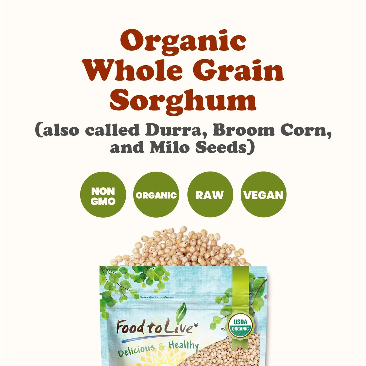 Food To Live Organic Whole Grain Sorghum, 6 Pounds – Non-Gmo White Groats. Raw Milo Seeds. Vegan, Bulk Broom-Corn. Durra Is Great For Making Flour And Popped Jowar Dhani