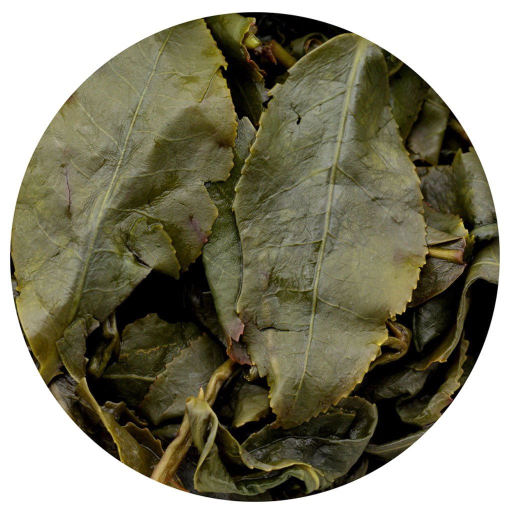 Goartea 2Pcs 250G / Total 17.6Oz Taiwan Dong Ding Oolong Tea Loose Leaf - Premium Grade Taiwan Tung Ting Green Oolong Tea - High