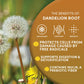Worldwide Botanicals Organic Dandelion Root - 1 Lb - Cut & Sifted - Raw, Unroasted - Taraxacum Officinale - Ra  Z De Diente De L