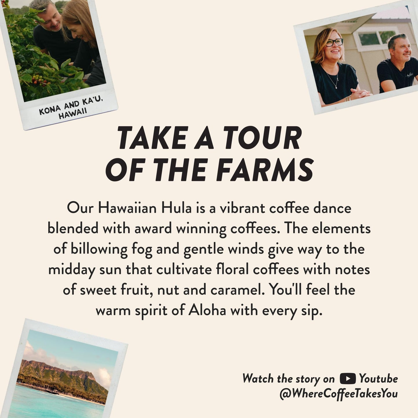 Angelinos Coffee Hawaiian Hula Reserve Whole Bean Hawaiian Coffee Blend, Medium Roast With Chocolaty Notes And Floral Undertones - Enhanced Hawaii Coffee Beans Blend