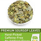 Olvvla Premium Soursop Tea Bags - Caffeine-free, Non-GMO - 70 Count