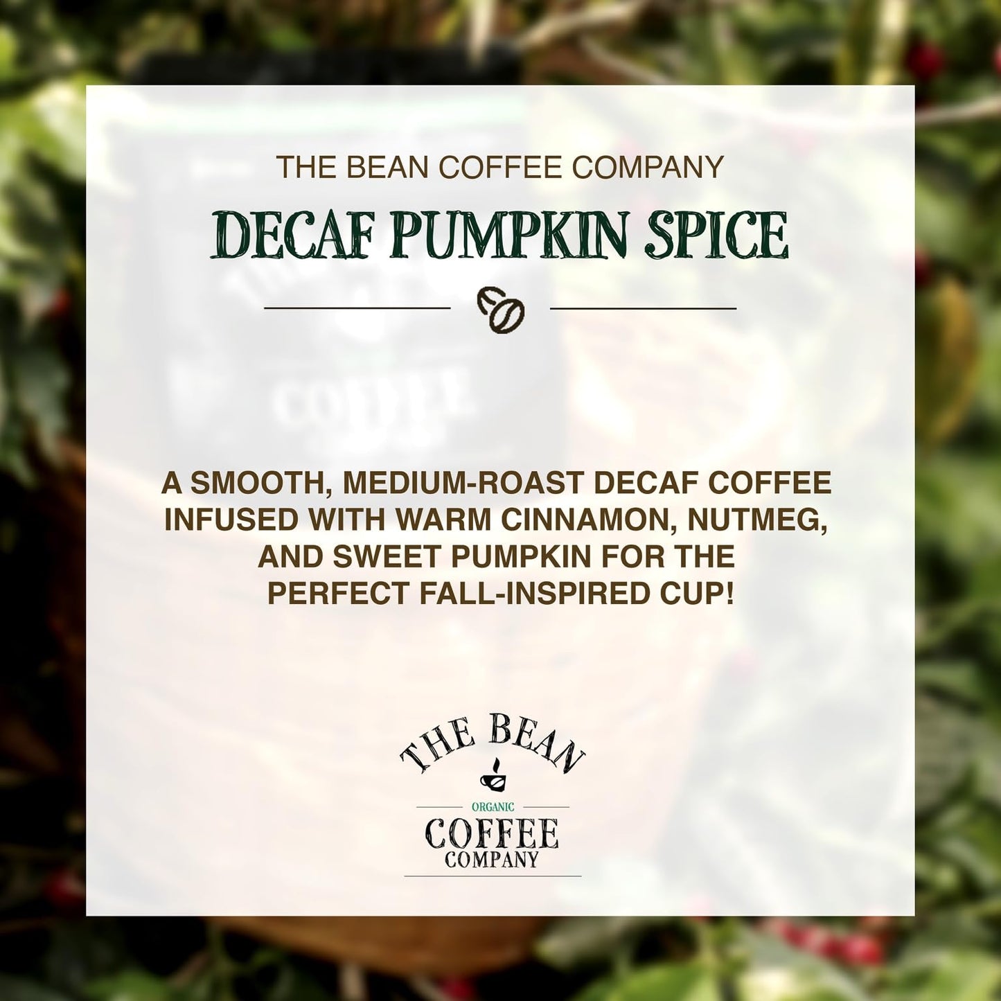 The Bean Organic Coffee Company Water Processed Decaf Pumpkin Spice, Medium Roast, Whole Bean Coffee, 5-Pound Bag