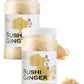 Fusion Select 2 Packs Sushi Ginger - Natural Sliced Gari, Pickled Ginger for Sushi - No MSG, Non-GMO - Spicy, Sour, Sweet & Salt
