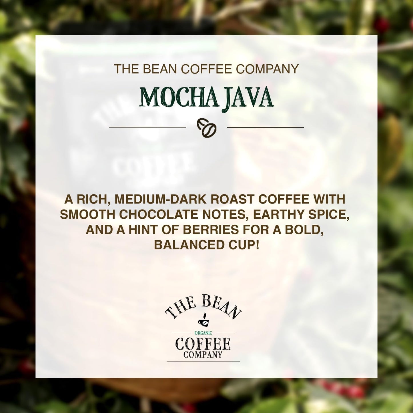 The Bean Organic Coffee Company Mocha Java, Medium Roast, Ground Coffee, 16-Ounce Bags (Pack of 2), Caf   molido tostado org  ni
