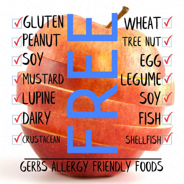 GERBS Dried Apple Slices, Soft & Sweet, 1 LB, Recloseable Bag, Allergen-Free, Gluten & Peanut Free