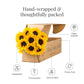 Bloomsybox : Farm-Fresh Sunflowers - Better | 10 Stems, Yellow Design, Care Card, Flower Food, Lush Greenery, Flower Delivery, B