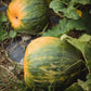 Organic Pumpkin Seeds- Raw, Non-Gmo, No Shell Unsalted Vegan Bulk (3Lb)