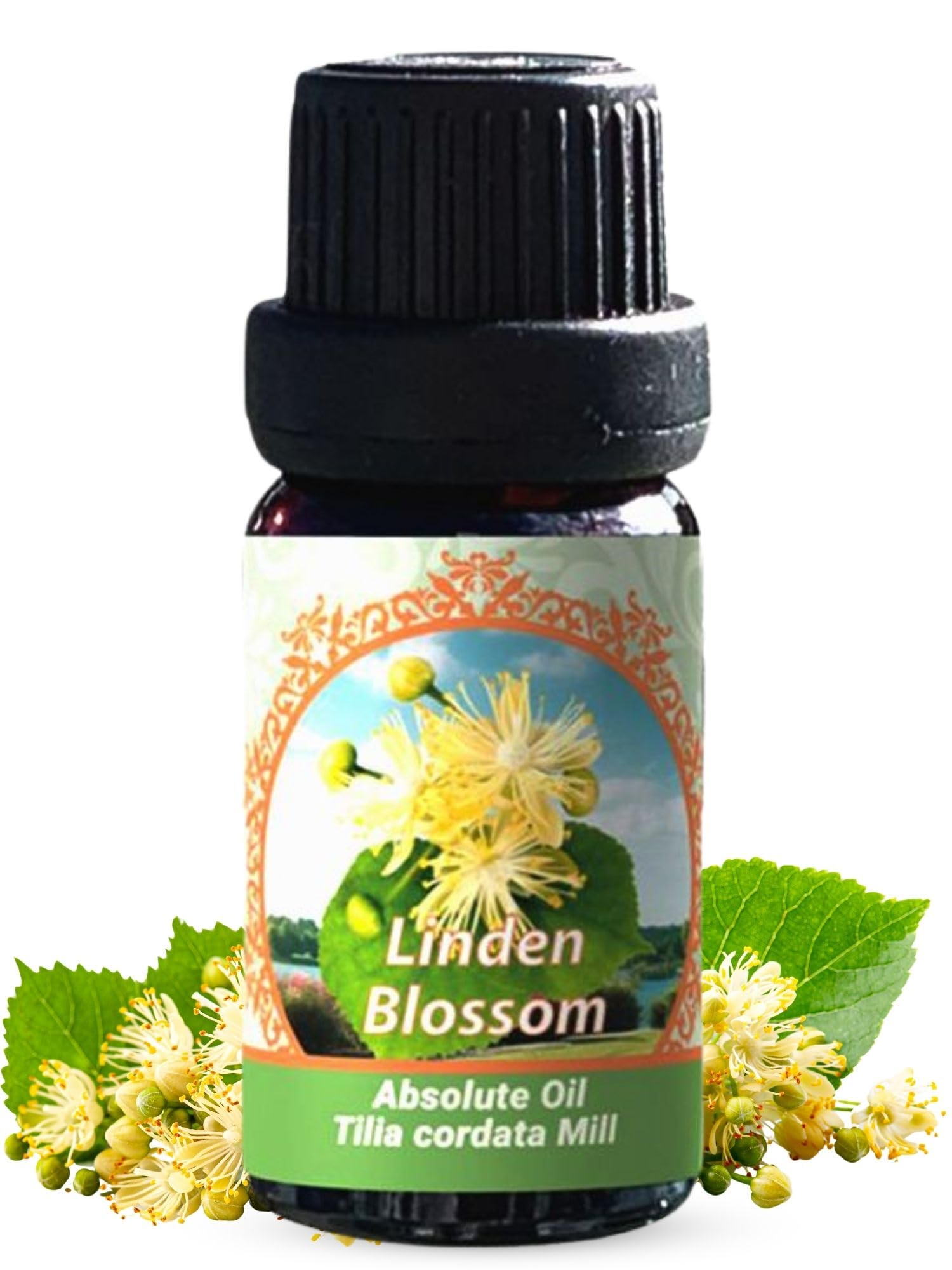 Flora Aromatics Linden Blossom Absolute Oil | 100% Pure Therapeutic Grade | 10ml / 0.33 FL OZ