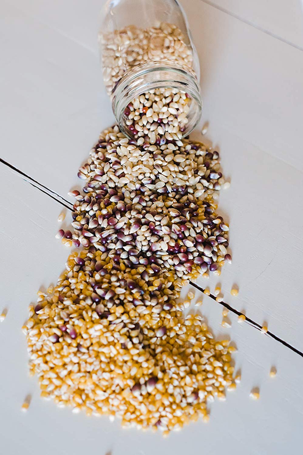Amish Country Popcorn | Variety Bundles - 3 (1 Lb Bags - Baby White, Ladyfinger, Purple Kernels) | Old Fashioned, Non-GMO and Gl