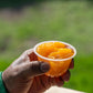 Dole Fruit Bowls Diced Peaches in 100% Juice Snacks, 4oz 12 Total Cups, Gluten & Dairy Free, Bulk Lunch Snacks for Kids & Adults