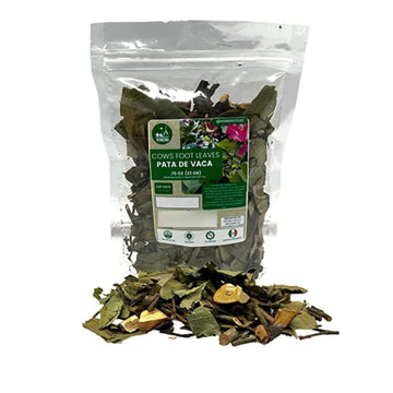 YERBERO Loose Cows Foot Leaf, 100% All Natural, 22g (0.75 oz), Premium Wildcrafted Quality, 20+ Servings, From Mexico