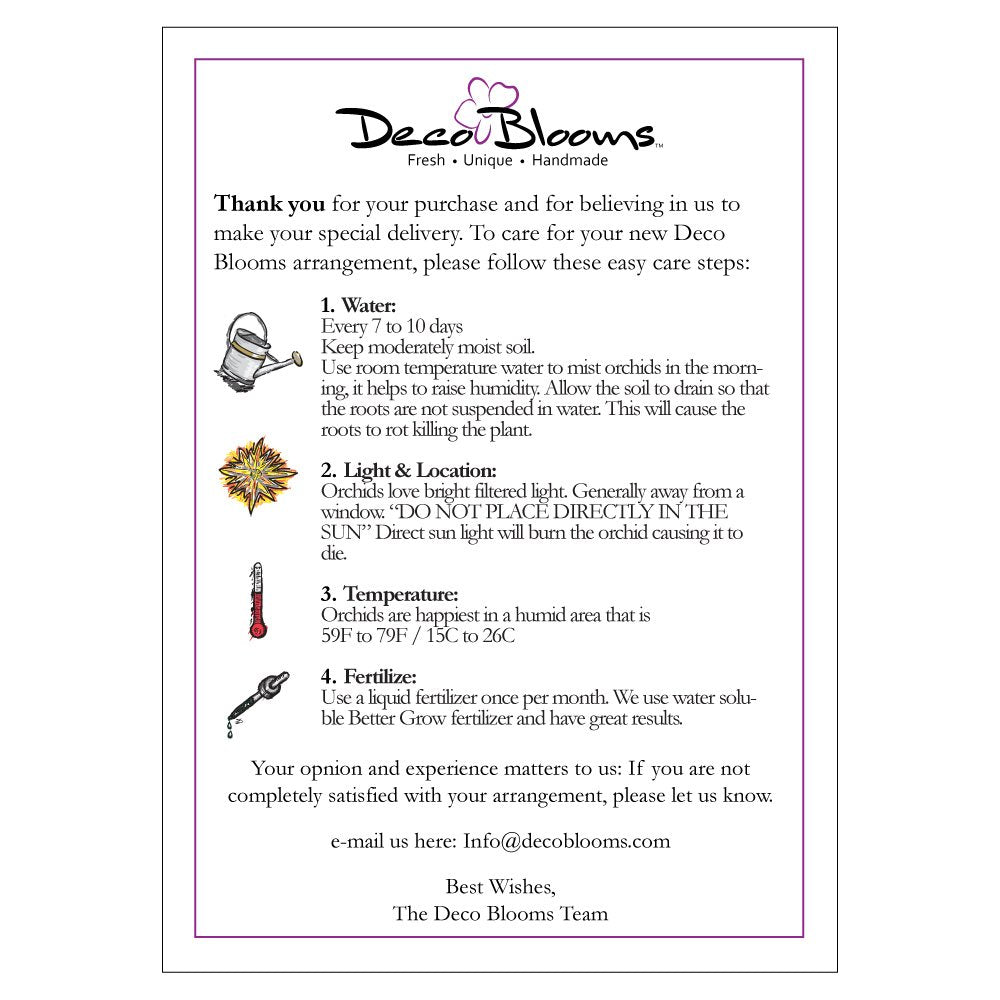 Decoblooms Living White Orchid Plant - 5 Inch Blooms - Fresh Flowering Home D  Cor