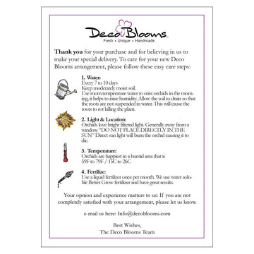 DecoBlooms Living White enhanced Double Stem Orchid Plant - 5 inch Blooms - Fresh Flowering Home D?cor  DB00964