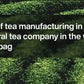 Elephant Park Sweet Premium Honey Infused Herbal Black Tea - Caffeinated, 25 Bags