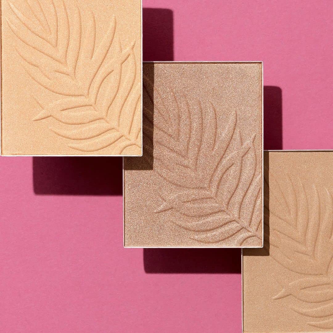 Wet N Wild Color Icon Bronzer Powder Ticket To Brazil
