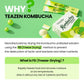 Teazen Shine Muscat Kombucha Tea, Electrolyte & Hydration Drink Mix, Sugar Free, Live Probiotics & Prebiotics, 30 Sticks, 5.29Oz