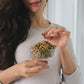Nichols Farms Organic No Shell California Pistachios  Healthy Protein Snack  Roasted Sea Salt  1LB